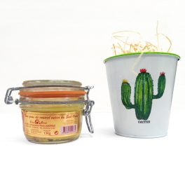 Cache pot Cactus Cache pot Cactus