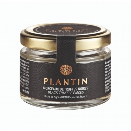 Truffes noires Tuber Melanosporum (morceaux) Truffes noires Tuber Melanosporum (morceaux)