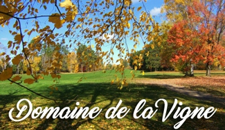 Domaine de la vigne