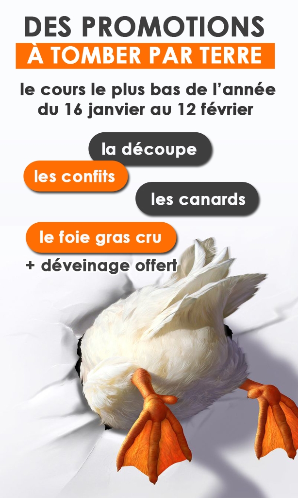Foie gras de canard cru Extra (déveiné), IGP Sud-Ouest